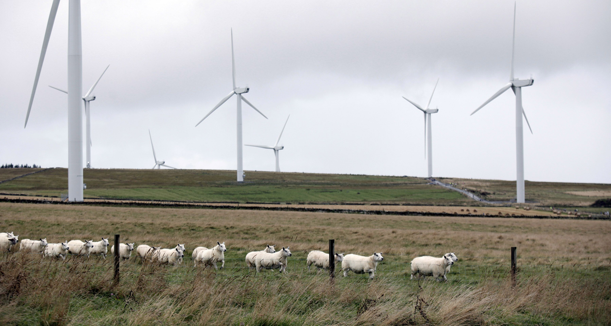 Wind deals power plants